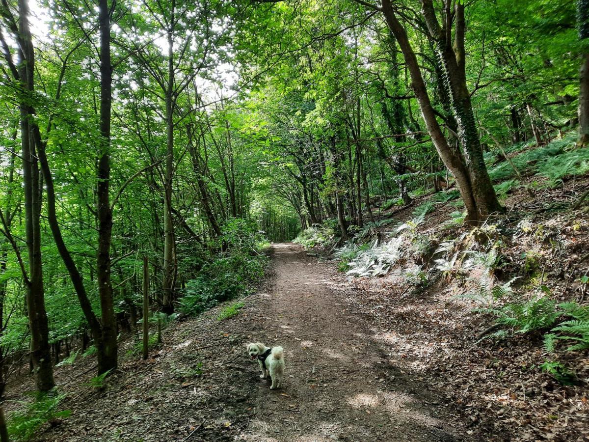 Appartamento Biggi Trittenheim Esterno foto