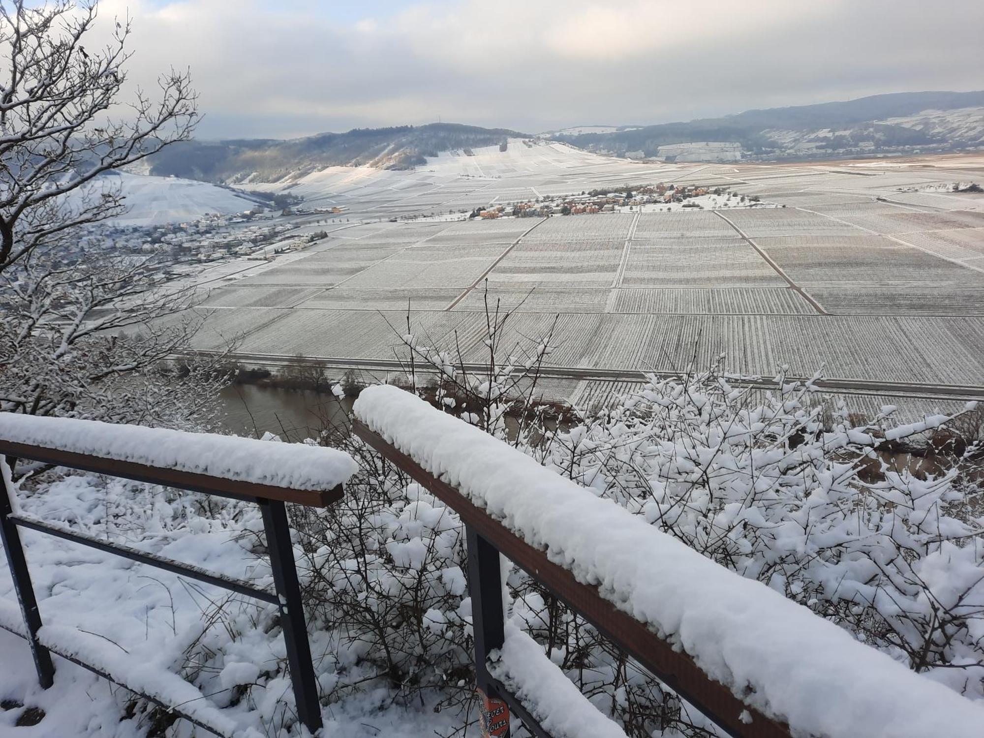 Appartamento Biggi Trittenheim Esterno foto