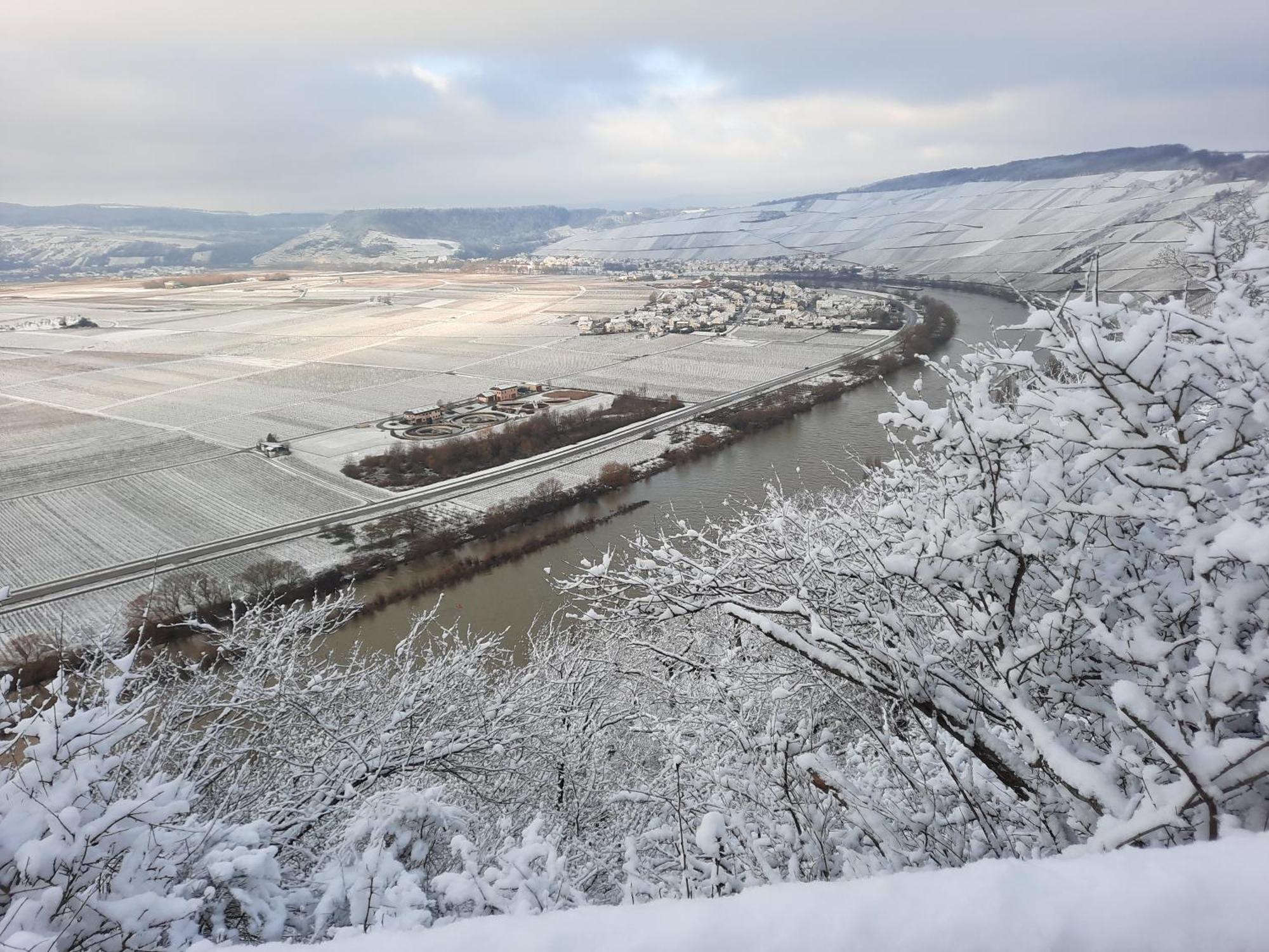 Appartamento Biggi Trittenheim Esterno foto
