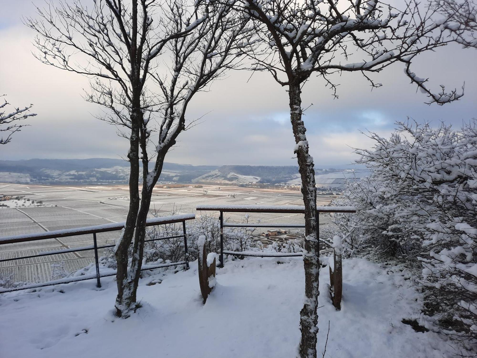 Appartamento Biggi Trittenheim Esterno foto